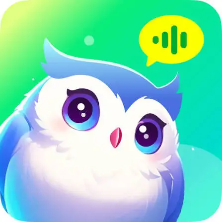 هيوكي شات - Hayoki Chat